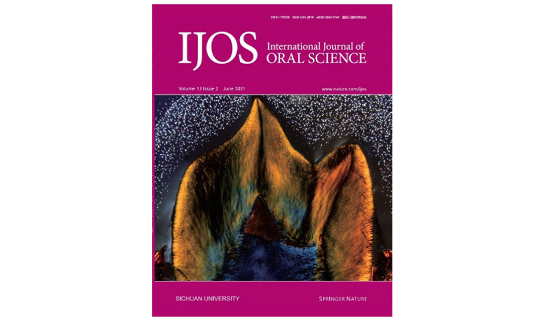 Los implantes dentales forman ecosistemas bacterianos distintos a los dientes naturales