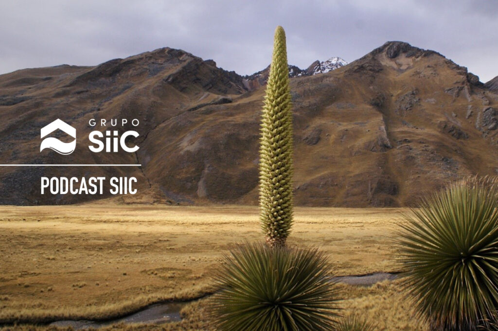 Grupo SIIC - Novedades: Podcast SIIC