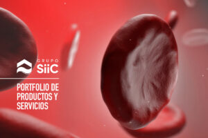 SIIC Portfolio de Servicios