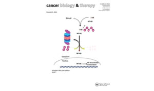 Mecanismos moleculares y genéticos que vinculan obesidad y cáncer de mama: una revisión actualizada