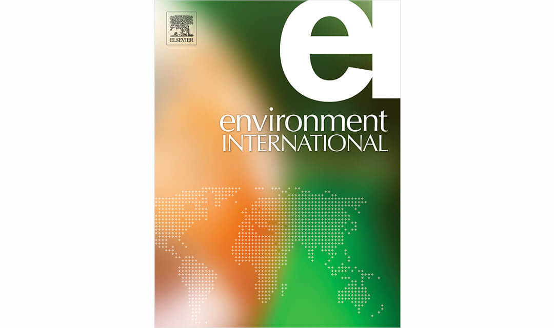 SIIC - Enviroment International